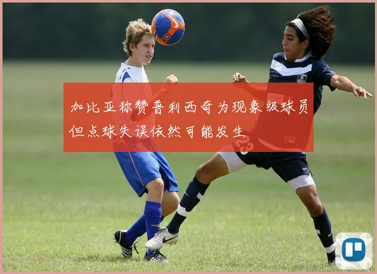 加比亚称赞普利西奇为现象级球员但点球失误依然可能发生