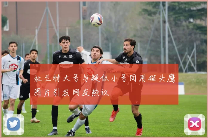 杜兰特大号与疑似小号同用猫头鹰图片引发网友热议