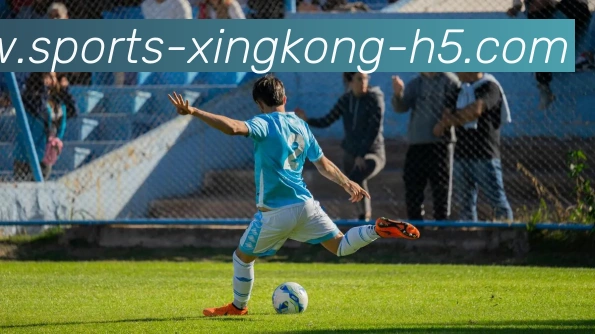 星空体育平台生态图